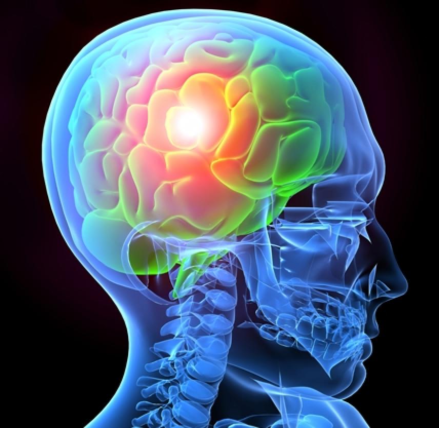 traumatic-brain-injury-basics-brainline