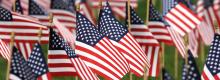 Small hand-sized American flags standing in a sunny grassy field